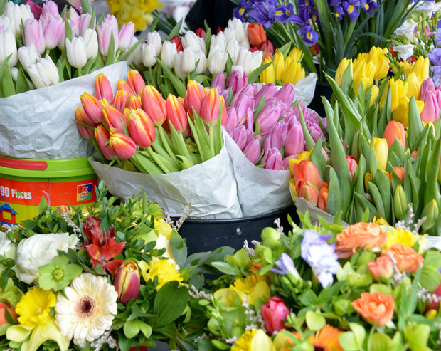 Ваучер уместо цвета